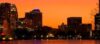 Ron Seggi Show Background